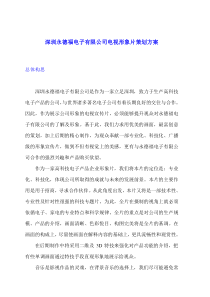 深圳永德福电子有限公司电视形象片策划方案(doc5)(1)