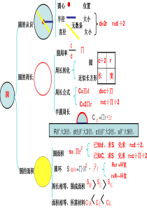 小学数学六上圆思维导图