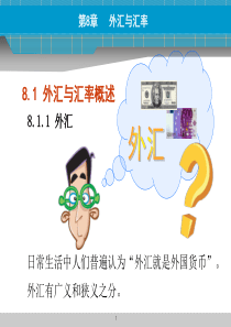 货币金融学外汇与汇率