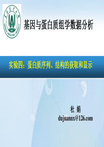 实验四蛋白质序列、结构的获取和显示