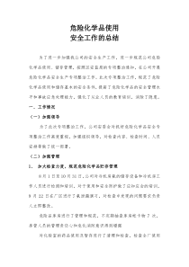 危险化学品专项整治工作总结