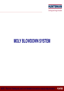 8MOLY-BLOWDOWN-598