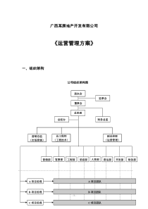 运营管理方案(新)