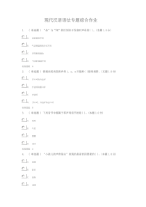 现代汉语语法专题综合作业