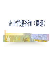 企业管理咨询(PPT 53)