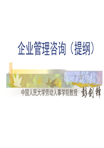 企业管理咨询(提纲)