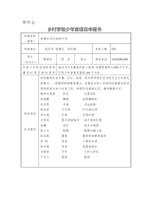 乡村学校少年宫项目申报书