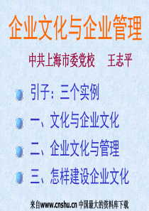 企业文化与企业管理（PPT 30页）(1)