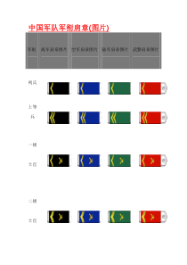 中国军队军衔肩章(图片)