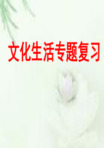 文化生活专题复习