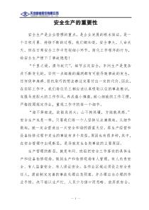 安全生产的重要性(全文阅读)