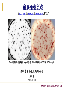 ELISPOT技术原理及其应用