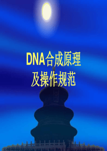 DNA合成原理及操作