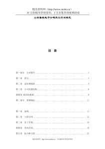 山东XX电子公司员工行为规范(DOC41页)(1)