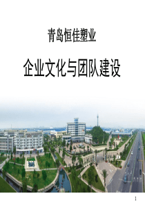 企业文化与团队建设（PPT176页)