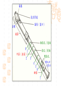 竖笛入门及基础教学