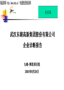 九略-武汉东湖高新-集团内部诊断报告