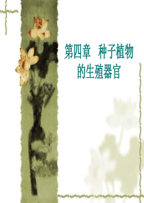 种子植物的生殖器官