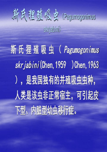 斯氏狸殖吸虫(Pagumogonimus