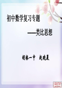 初中数学复习专题——类比思想