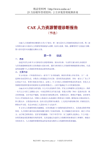 人力资源管理诊断报告(CAE)