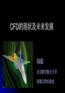 CFD的现状及未来发展