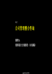 公司管理整合咨询