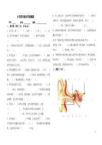 教科版四年级上册科学第三单元声音检测题答案