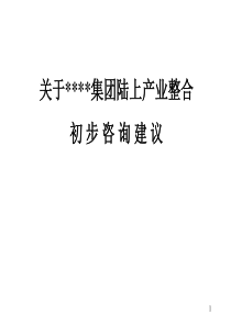 关于XX集团陆上产业整合的咨询建议（PPT 30页）