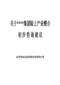 关于XX集团陆上产业融合初步咨询建议