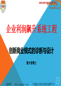 企业利润飙升系统工程--商业模式诊断和设计(柴少青)-中