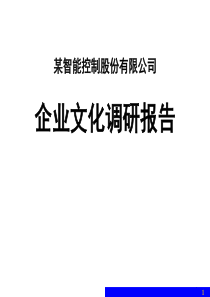 企业文化诊断报告（PPT55页)