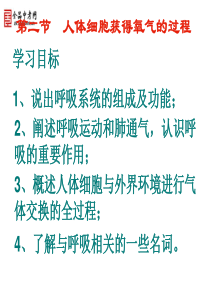 人体获得氧气排出二氧化碳的过程