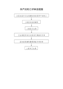 孕产妇死亡评审流程图