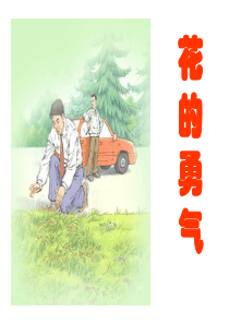 花的勇气(免费)