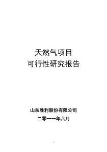 天然气项目可研报告