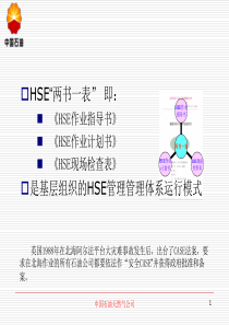 中国石油HSE两书一表