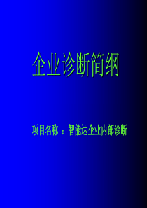 企业诊断简纲（PPT 60页）