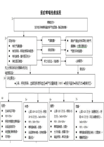 呼吸内科抢救流程