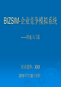 02-BIZSIM-快速入门