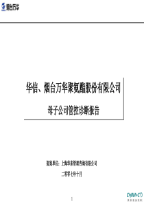 信烟台万华聚氨酯股份有限公司母子公司管控诊断报告--haventan