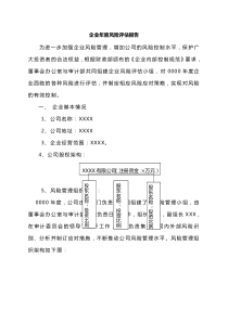 企业风险评估报告