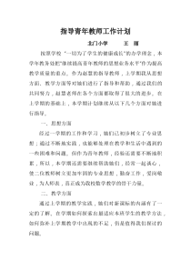 指导青年教师工作计划总结