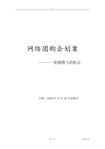 网络团购企划案2010