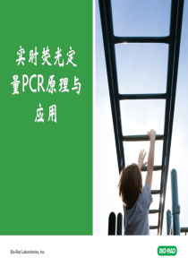 实时荧光定量PCR原理