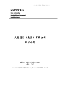 华彩咨询_某某国际（集团）有限公司组织手册（DOC111页）