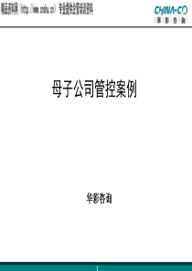 华彩咨询公司_某某(上海)机械有限公司母子公司管控案例（PPT61页）