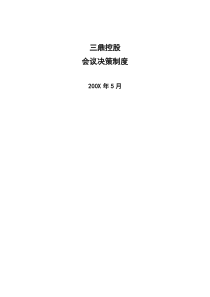 华彩咨询公司_某某控股会议决策制度（doc10页）