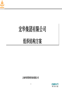 华彩咨询公司_某某集团有限公司组织结构方案（PPT44页）