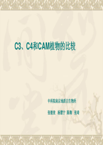 C3植物、C4植物和CAM植物的比较